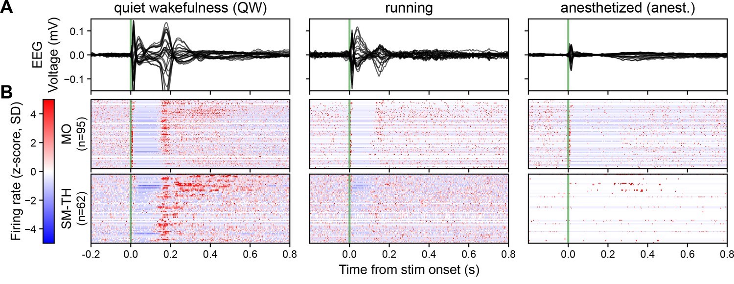 Figure2